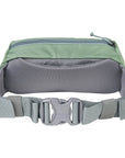 Mystery Ranch Forager Hip Pack