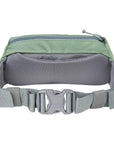 Mystery Ranch Forager Hip Pack