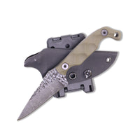 Supplies - EDC - Knives - Stroup Knives Mini Fixed Blade Knife - OD Green
